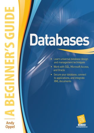 Databases A Beginner's Guide