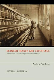 Between reason and experience: essays in technology and modernity