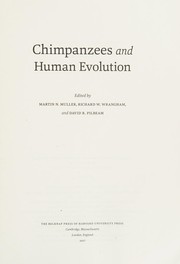 Chimpanzees and Human Evolution