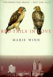 Red-tails in Love A Wildlife Drama in Central Park