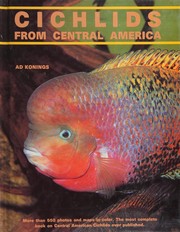Cichlids from Central America
