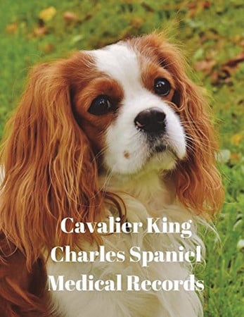 Cavalier King Charles Spaniel Medical Records: Track Medications, Vaccinations, Vet Visits and More